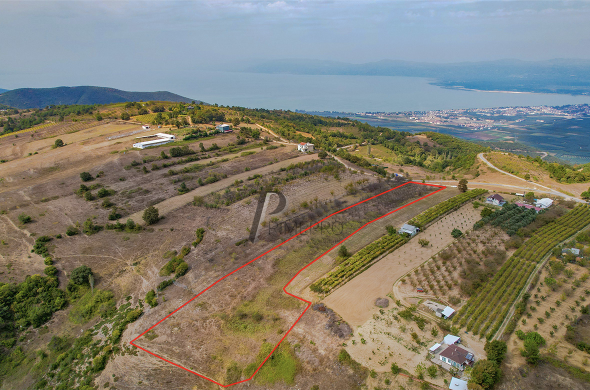 İznik Gölü Manzaralı Çampınar Mah. Yola Cepheli 24 Dönüm Satılık Arsa